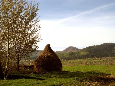 Maison de vacances �/en/au Vale (Sibiu)ou appartement ou maison de vacances