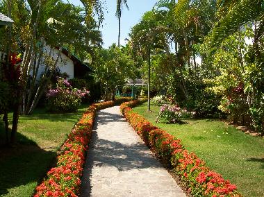 Maison de vacances �/en/au Las Terrenas (Samana)ou appartement ou maison de vacances