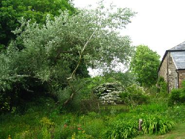 Maison de vacances �/en/au Modbury (South West)ou appartement ou maison de vacances