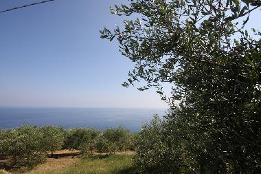 Appartement de vacances /en/au Cipressa (IM) (Imperia)ou appartement ou maison de vacances