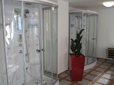 Appartement de vacances /en/au Bad Gastein (Salzburg und Umgebung)ou appartement ou maison de vacances