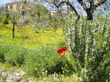 Appartement de vacances /en/au Bagni San Filippo (Siena)ou appartement ou maison de vacances