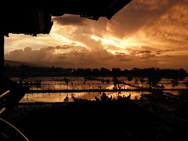 Maison de vacances �/en/au Lovina Tukadmungga (Bali)ou appartement ou maison de vacances