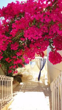 Villa �/en/au Cascais (Grande Lisboa)ou appartement ou maison de vacances