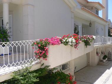 Villa �/en/au Cascais (Grande Lisboa)ou appartement ou maison de vacances