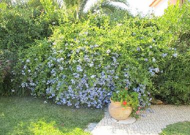 Villa �/en/au Cascais (Grande Lisboa)ou appartement ou maison de vacances