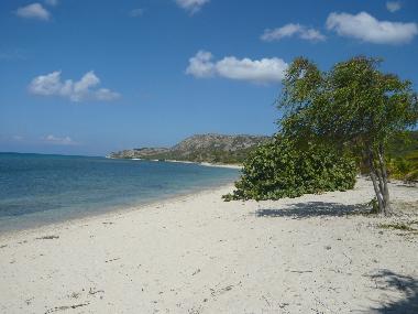Des plages vierges tout proche