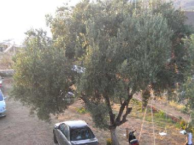 Appartement de vacances /en/au ksamil (Sarande)ou appartement ou maison de vacances