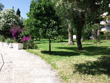 Jardin