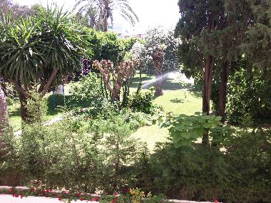 Jardin