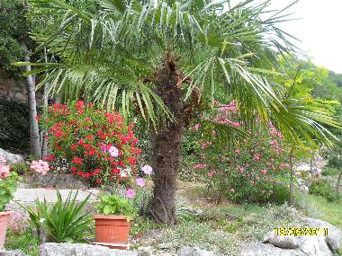 Appartement de vacances �/en/au Bribir (Primorsko-Goranska)ou appartement ou maison de vacances