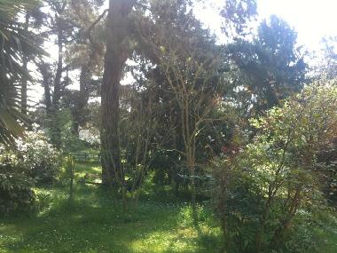 Maison de vacances /en/au lucca (Lucca)ou appartement ou maison de vacances