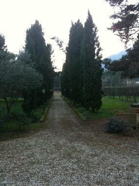 Maison de vacances /en/au lucca (Lucca)ou appartement ou maison de vacances