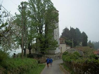 Maison de vacances /en/au lucca (Lucca)ou appartement ou maison de vacances