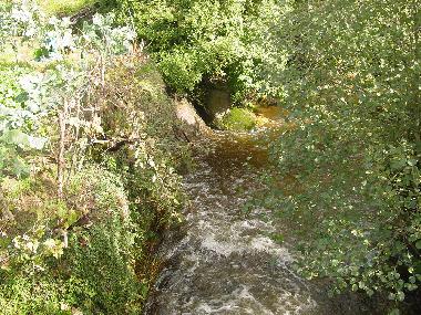 Appartement de vacances /en/au Torredeita (Do-Lafes)ou appartement ou maison de vacances