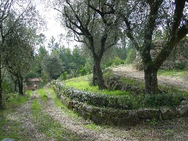 Appartement de vacances /en/au Torredeita (Do-Lafes)ou appartement ou maison de vacances