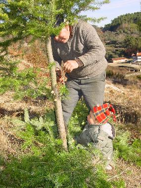 Appartement de vacances /en/au Torredeita (Do-Lafes)ou appartement ou maison de vacances