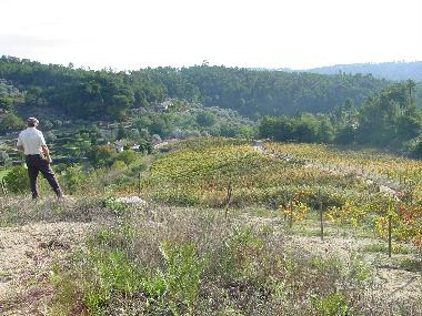 Appartement de vacances /en/au Torredeita (Do-Lafes)ou appartement ou maison de vacances