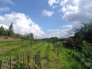 Appartement de vacances /en/au Ostrzyce  (Pomorskie)ou appartement ou maison de vacances