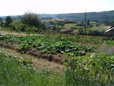 Appartement de vacances /en/au Ostrzyce  (Pomorskie)ou appartement ou maison de vacances