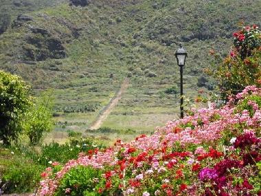 Maison de vacances �/en/au El Pico Bermejo - Tejina (Teneriffa)ou appartement ou maison de vacances