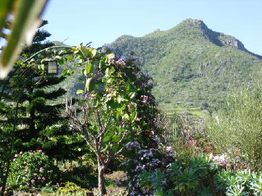 Maison de vacances �/en/au El Pico Bermejo - Tejina (Teneriffa)ou appartement ou maison de vacances