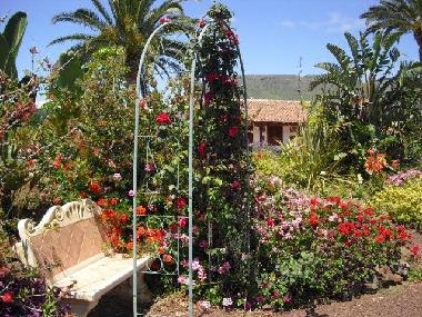 Maison de vacances �/en/au El Pico Bermejo - Tejina (Teneriffa)ou appartement ou maison de vacances