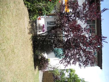 Appartement de vacances �/en/au Si�fok (Somogy)ou appartement ou maison de vacances
