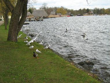 Maison de vacances /en/au Krakow am See (Mecklenburgische Schweiz)ou appartement ou maison de vacances