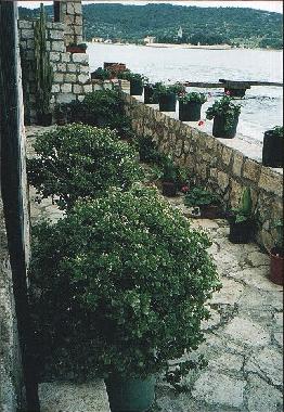 Appartement de vacances /en/au Vis (Splitsko-Dalmatinska)ou appartement ou maison de vacances