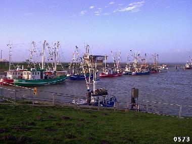 Appartement de vacances /en/au Dornum-Westerbur (Nordsee-Festland / Ostfriesland)ou appartement ou maison de vacances