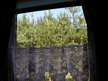 Maison de vacances �/en/au Kuru (Ida-Virumaa)ou appartement ou maison de vacances