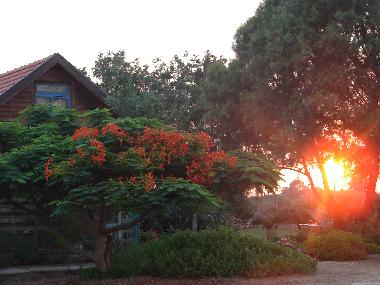 Maison de vacances �/en/au Mikhmoret (HaMerkaz (Central))ou appartement ou maison de vacances