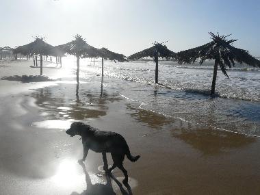 Maison de vacances �/en/au Mikhmoret (HaMerkaz (Central))ou appartement ou maison de vacances