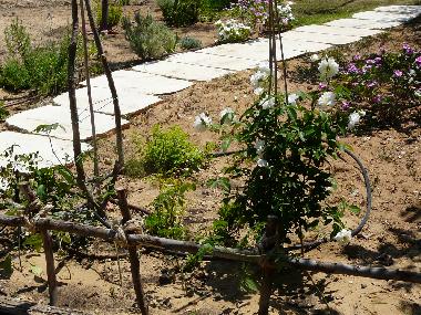 Maison de vacances �/en/au Mikhmoret (HaMerkaz (Central))ou appartement ou maison de vacances