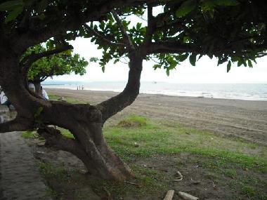 Plage � 50 m�tres