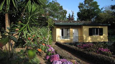 Maison de vacances �/en/au Livramento (Azores)ou appartement ou maison de vacances