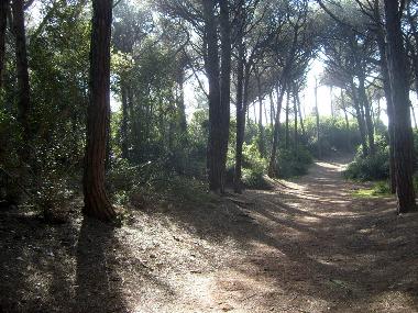 Appartement de vacances �/en/au Cecina (Livorno)ou appartement ou maison de vacances