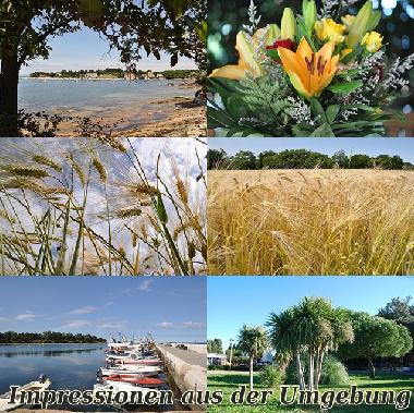 Appartement de vacances �/en/au Savudrija (Istarska)ou appartement ou maison de vacances
