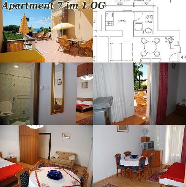 Appartement de vacances �/en/au Savudrija (Istarska)ou appartement ou maison de vacances