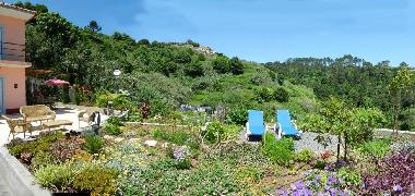 Maison de vacances /en/au Faj da Ovelha (Madeira)ou appartement ou maison de vacances