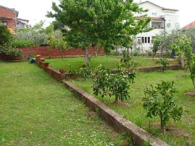 Chambre avec petit djeuner /en/au Novigrad (Istarska)ou appartement ou maison de vacances