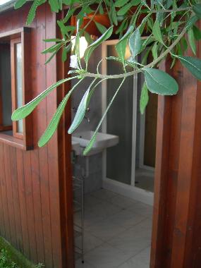 Appartement de vacances �/en/au Tirrenia (Pisa)ou appartement ou maison de vacances