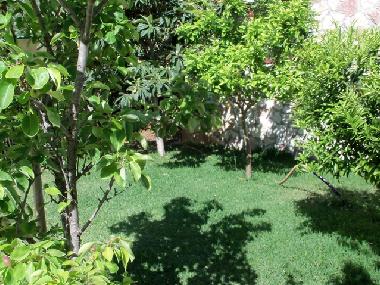 Villa /en/au Altavilla Milicia (Palermo)ou appartement ou maison de vacances