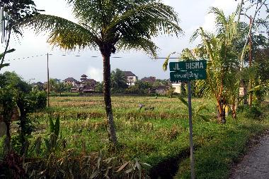 Maison de vacances �/en/au Bali-Ubud (Bali)ou appartement ou maison de vacances