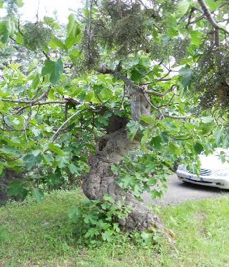 Villa �/en/au civitaquana (Pescara)ou appartement ou maison de vacances