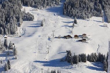 Appartement de vacances /en/au Kleinarl (Pinzgau-Pongau)ou appartement ou maison de vacances