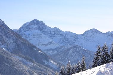 Appartement de vacances /en/au Kleinarl (Pinzgau-Pongau)ou appartement ou maison de vacances