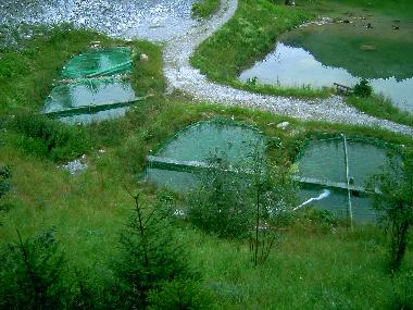 Appartement de vacances /en/au Kleinarl (Pinzgau-Pongau)ou appartement ou maison de vacances