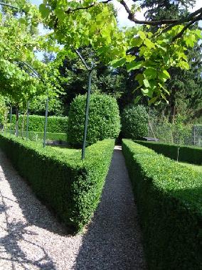 Maison de vacances �/en/au Binago (Como)ou appartement ou maison de vacances